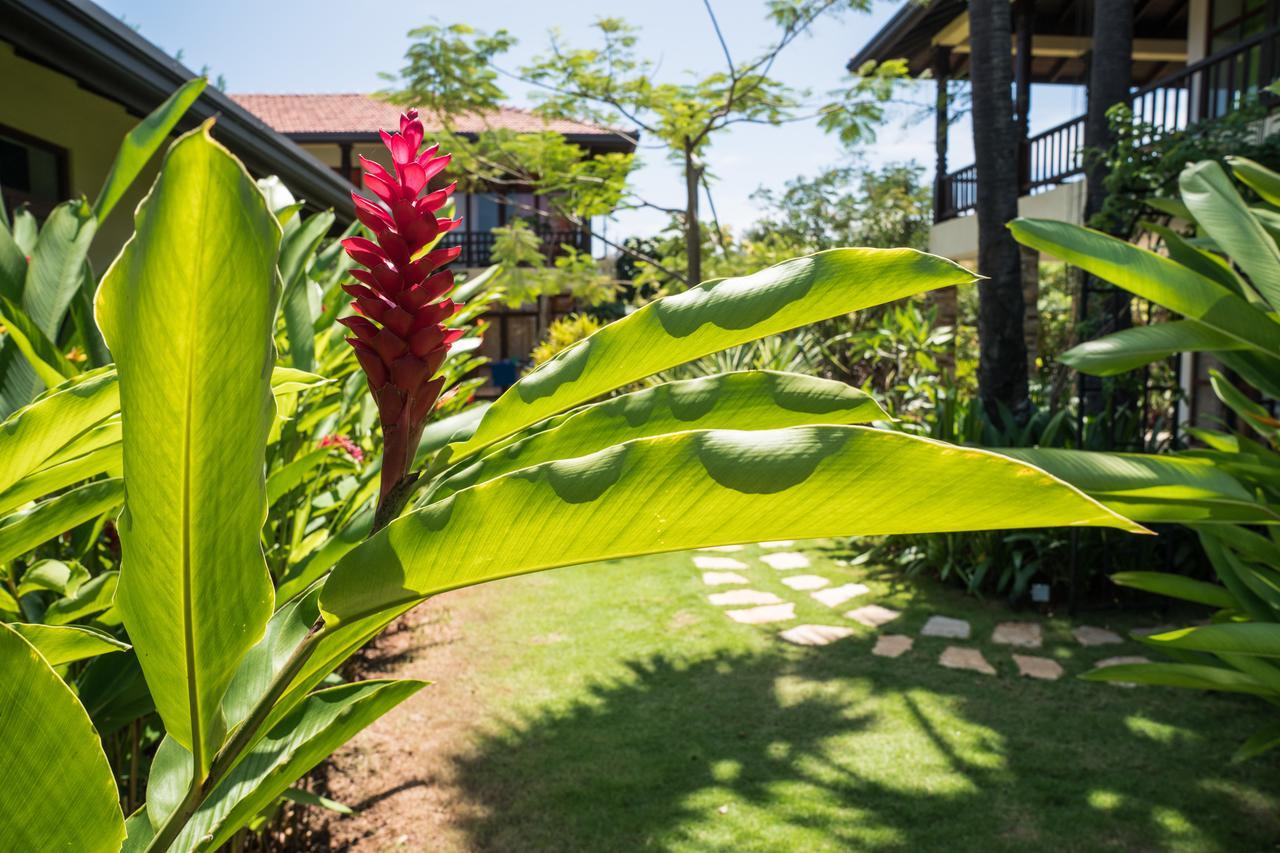 Dream Garden Hotel Vịnh Arugam Ngoại thất bức ảnh